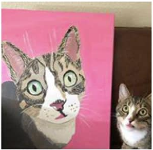 Paint Your Pet Tickets