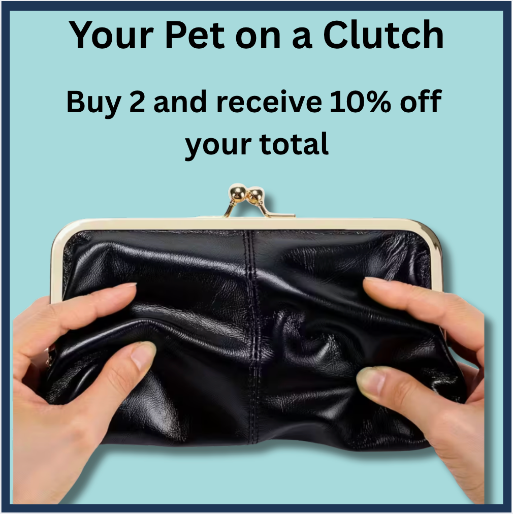 Ready to Adopt Dachshund Clutch