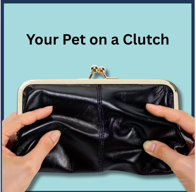 One-of-a-kind, Hand-Painted Clutch of your Pet